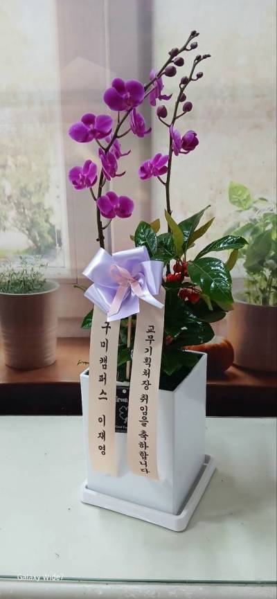 배송사진