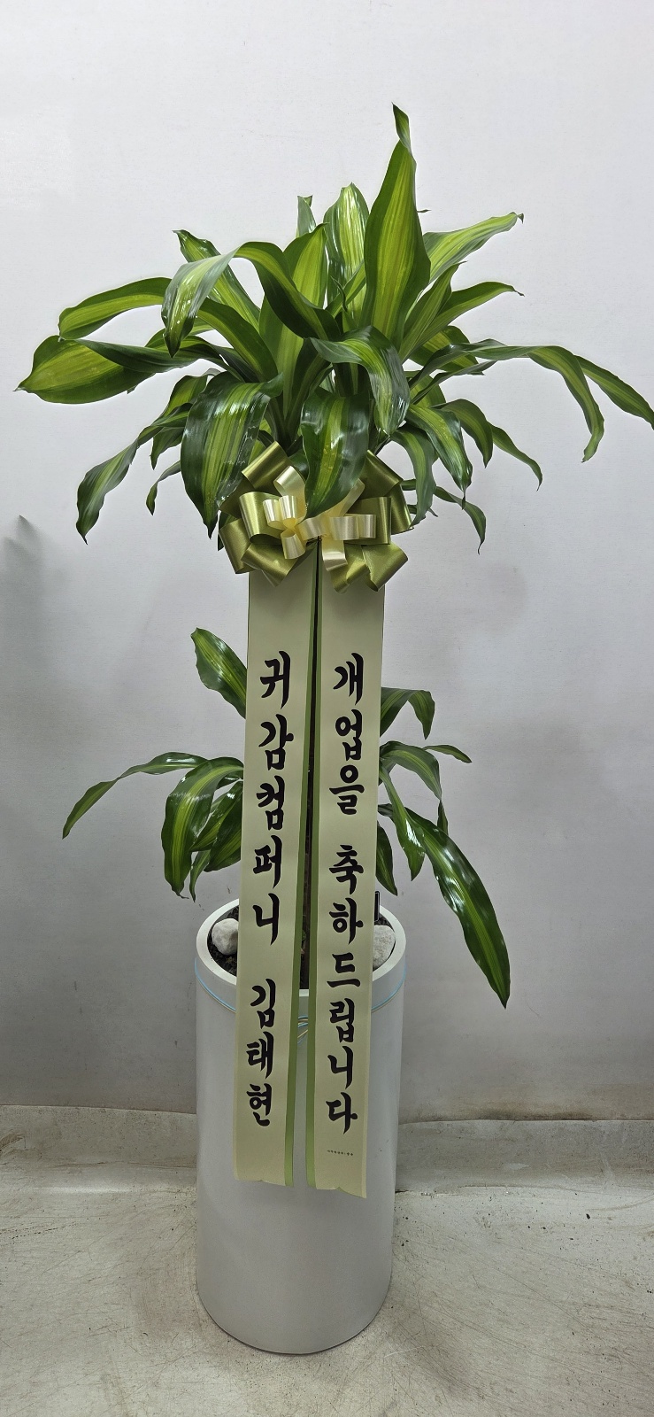 업로드 이미지