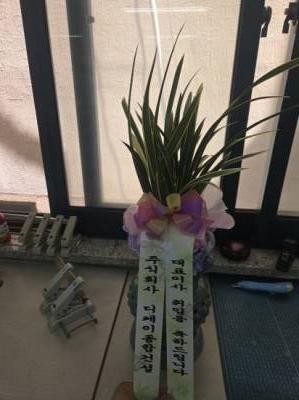 배송사진