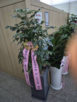 배송사진