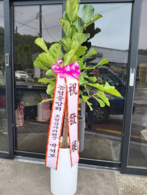 배송사진