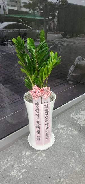 배송사진