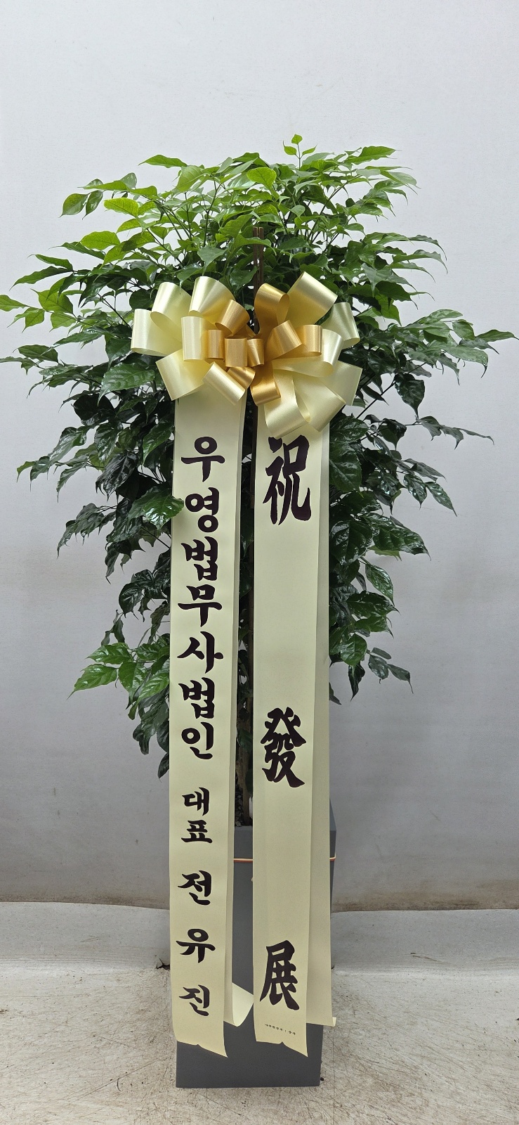 업로드 이미지