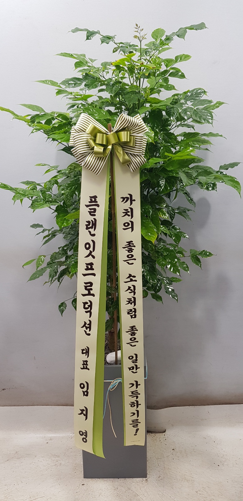 업로드 이미지