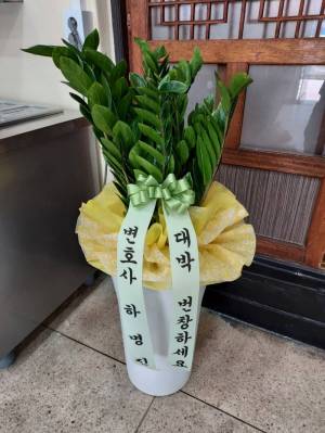 배송사진