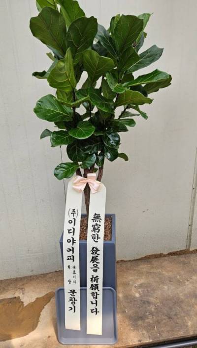 배송사진