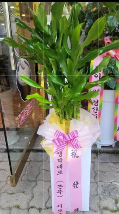 배송사진