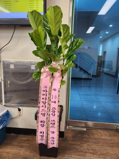 배송사진