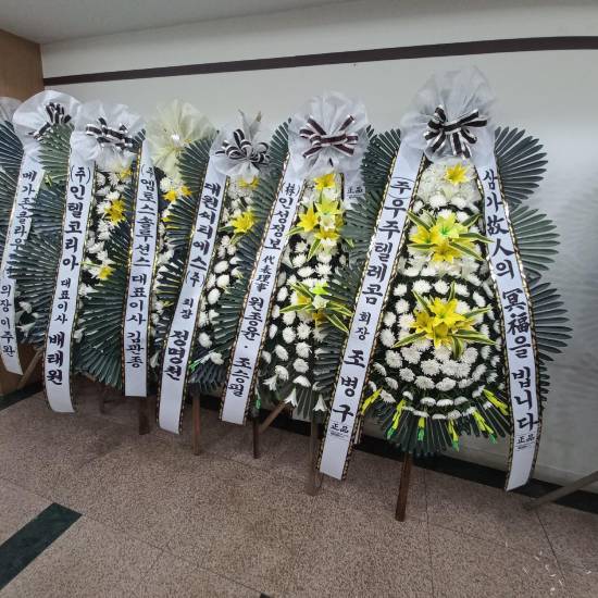 업로드 이미지