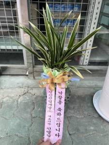 배송사진