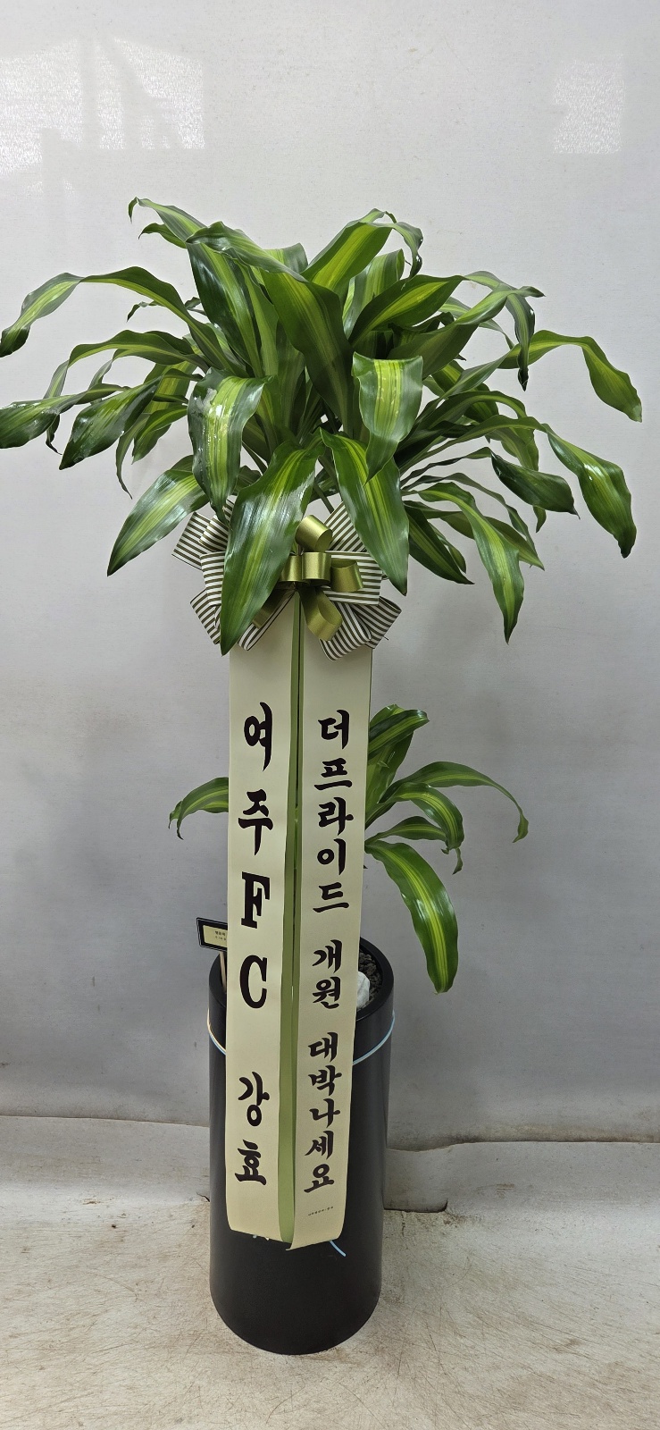 업로드 이미지
