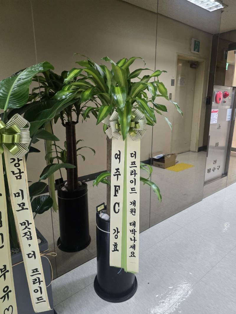업로드 이미지