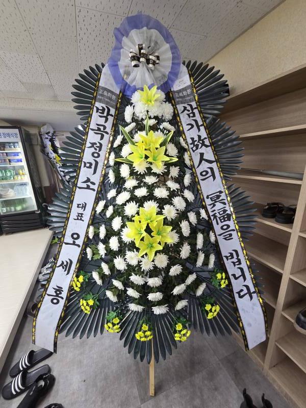 업로드 이미지