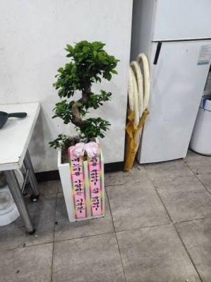 배송사진
