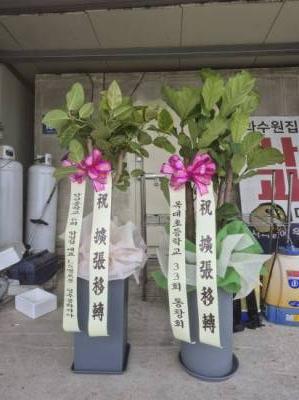 배송사진