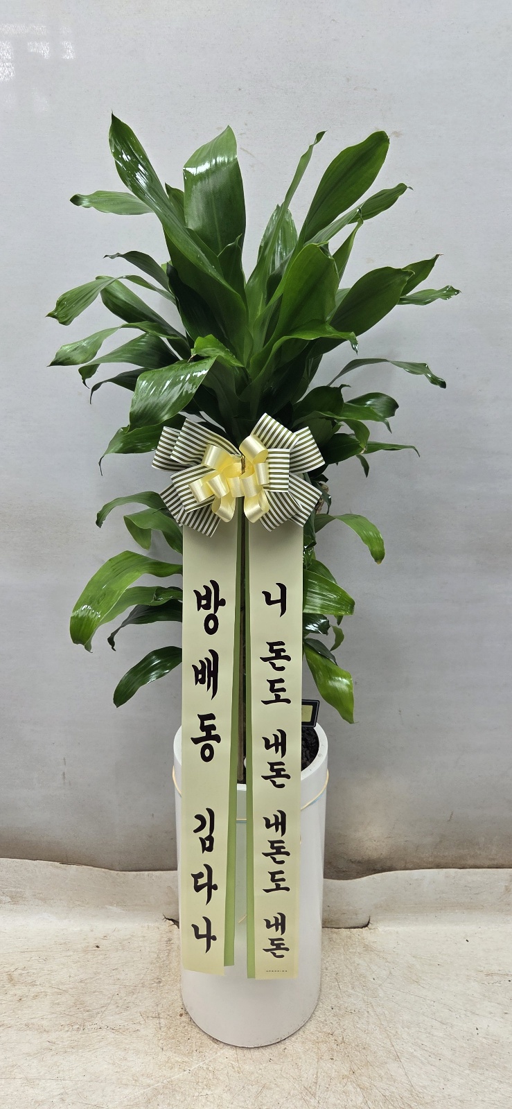 업로드 이미지