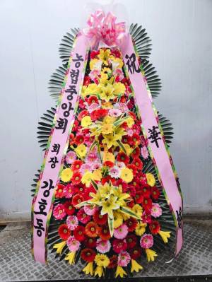 배송사진