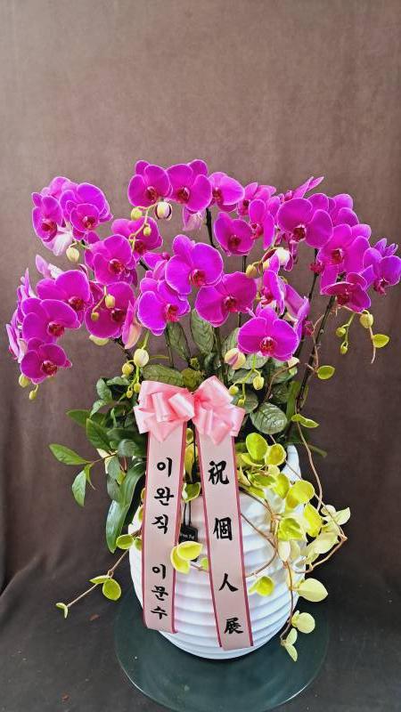 업로드 이미지