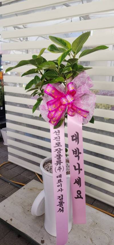 배송사진