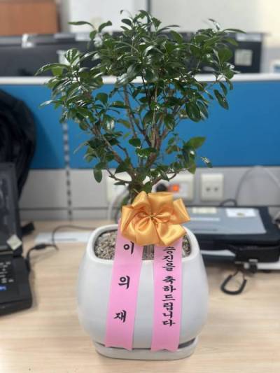 배송사진