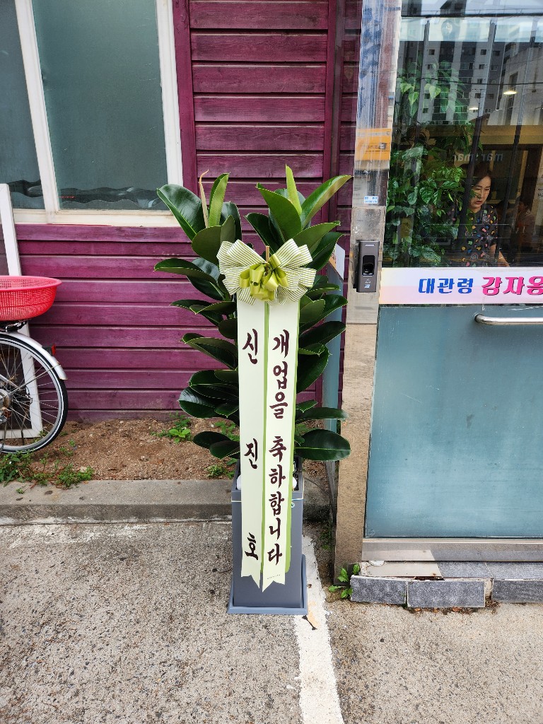 업로드 이미지