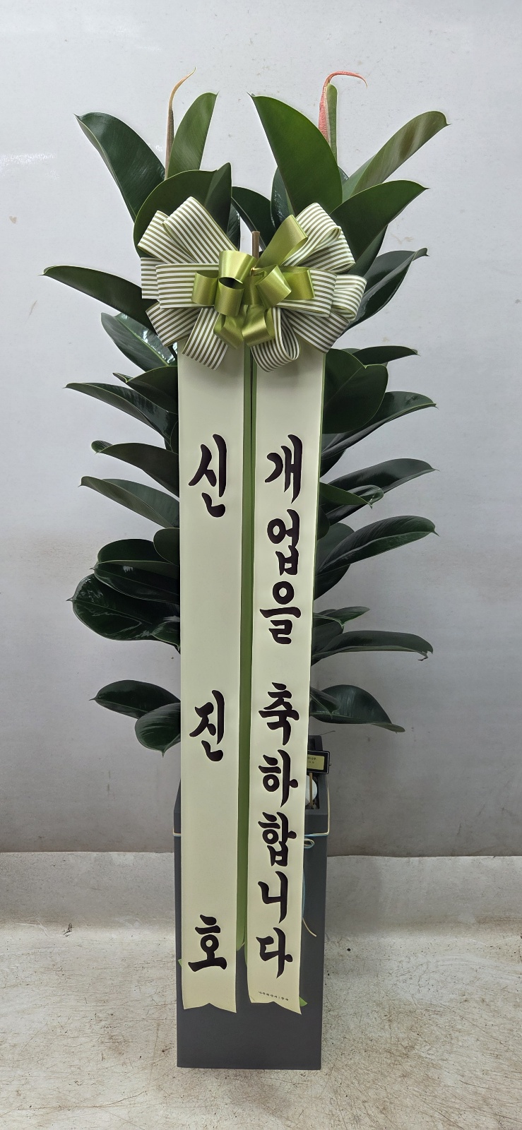 업로드 이미지