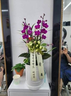 배송사진