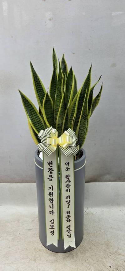 배송사진