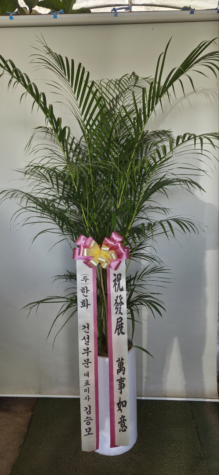 업로드 이미지