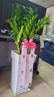 배송사진