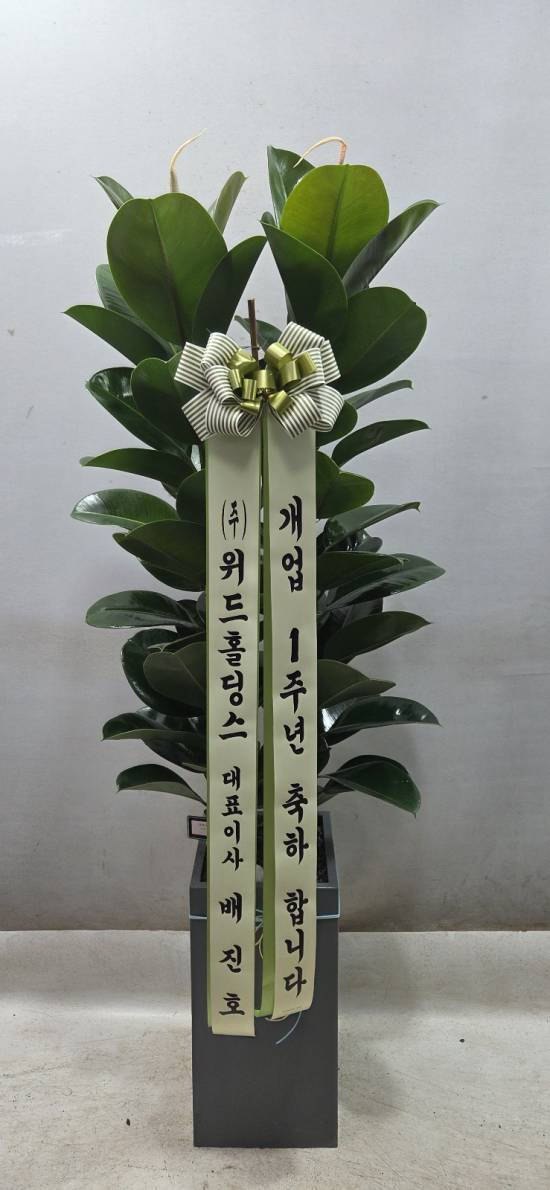 업로드 이미지