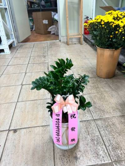 배송사진