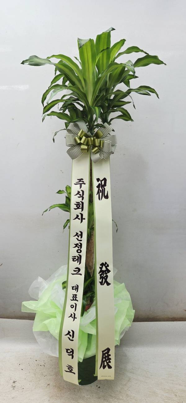 배송사진