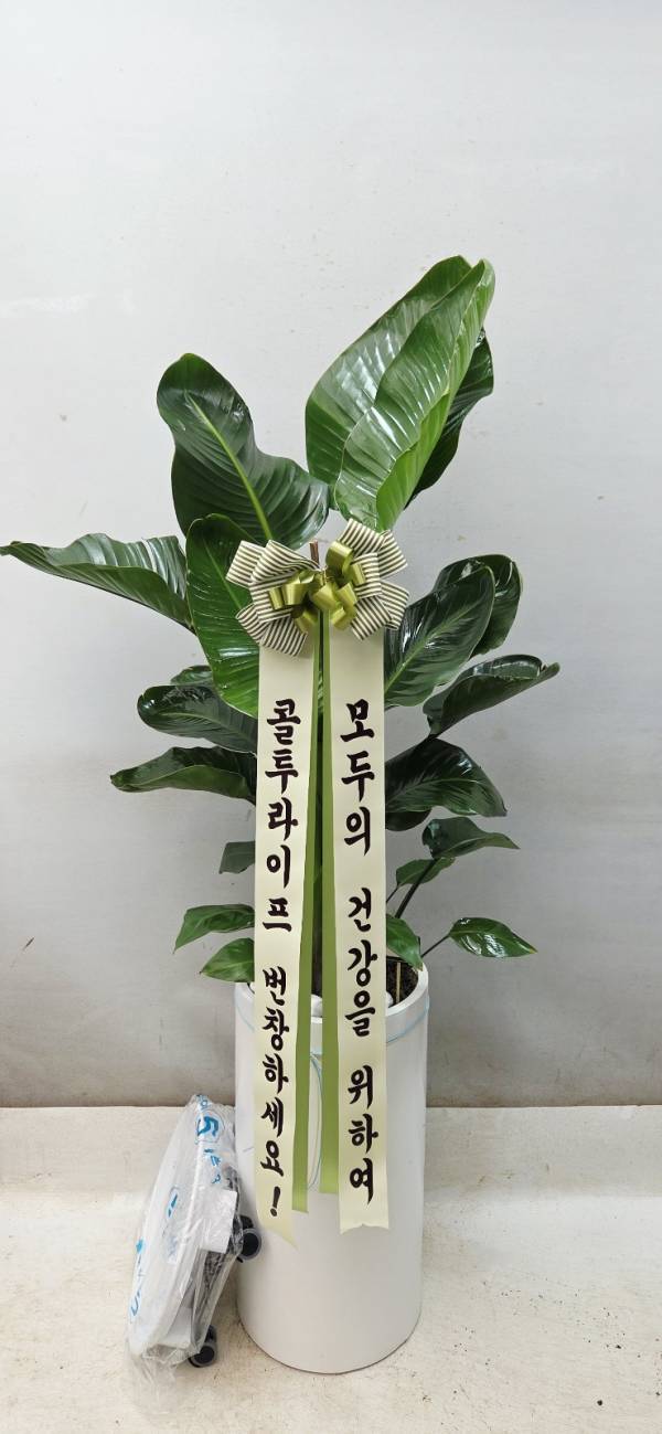 배송사진