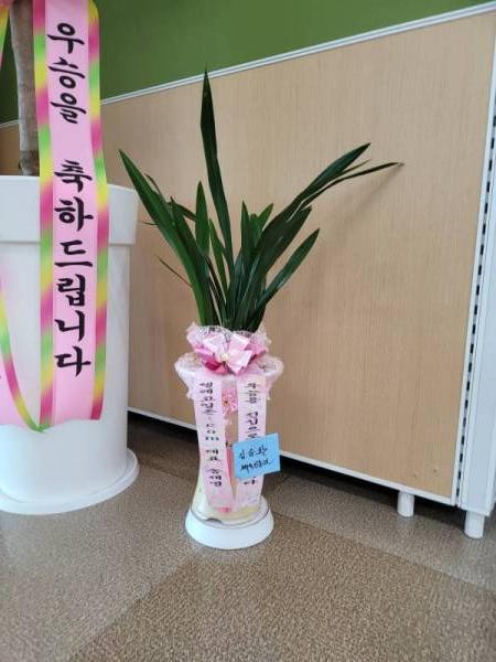 배송사진