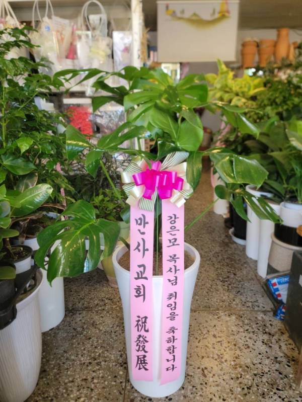 배송사진