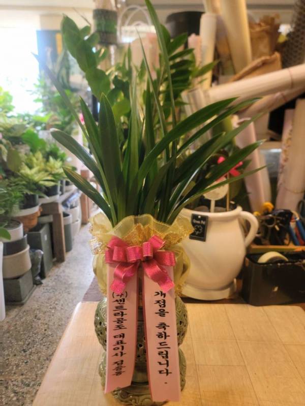배송사진