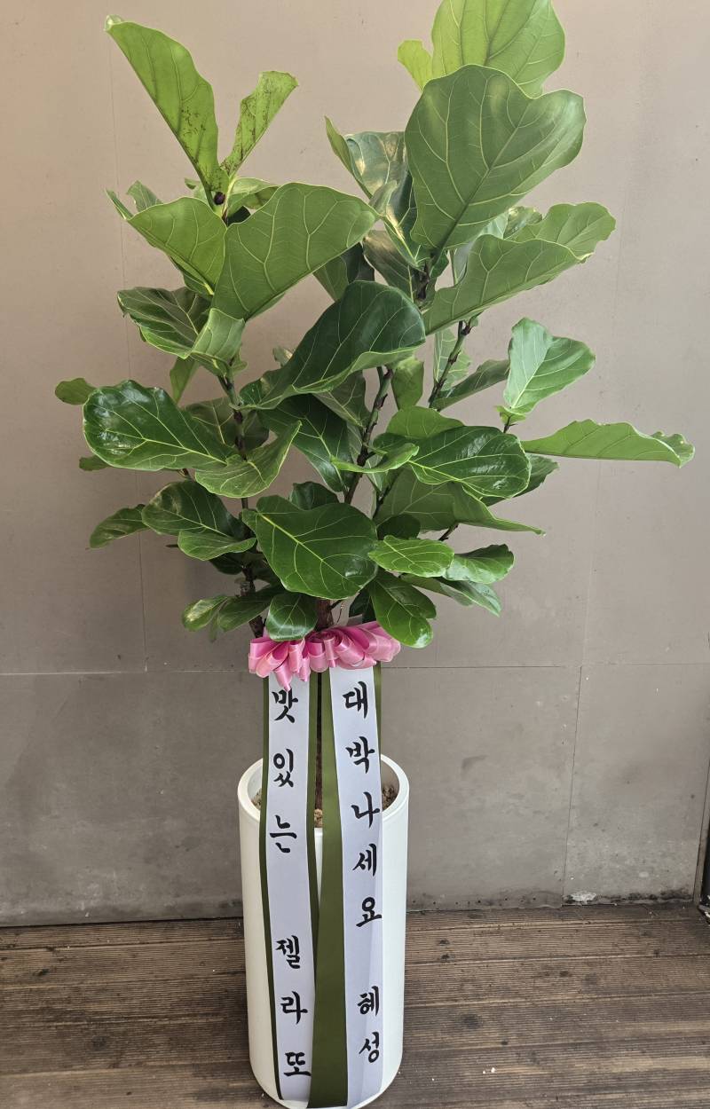 업로드 이미지