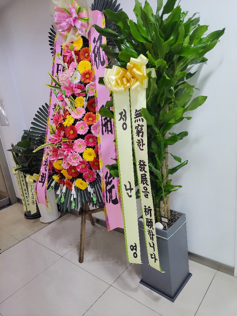 업로드 이미지