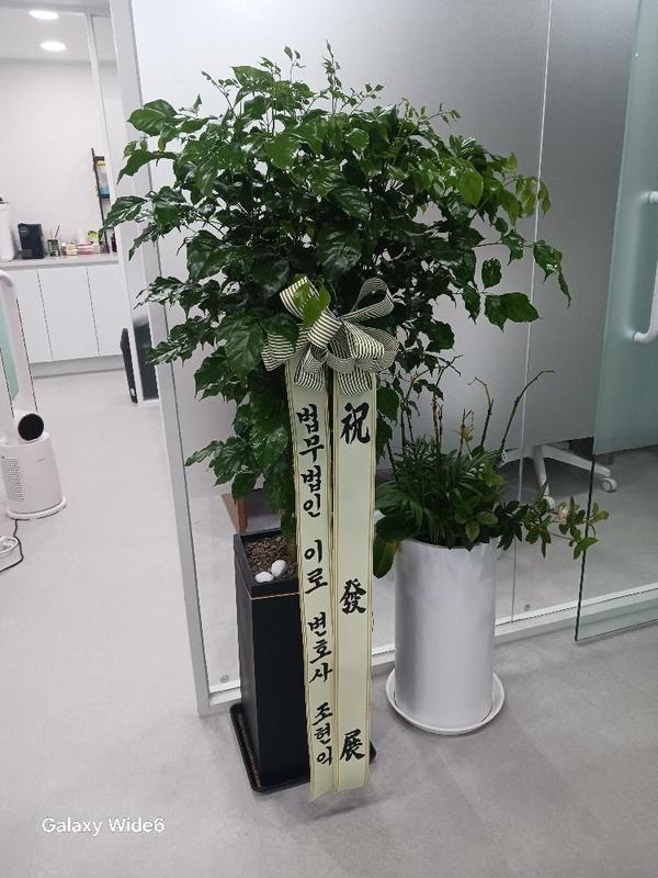 업로드 이미지
