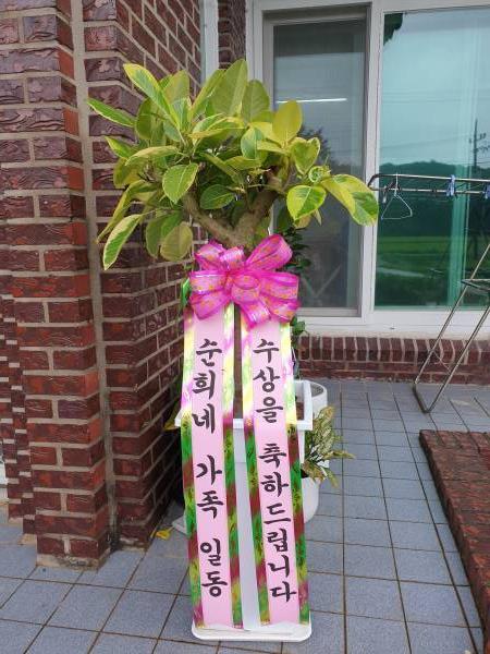 배송사진