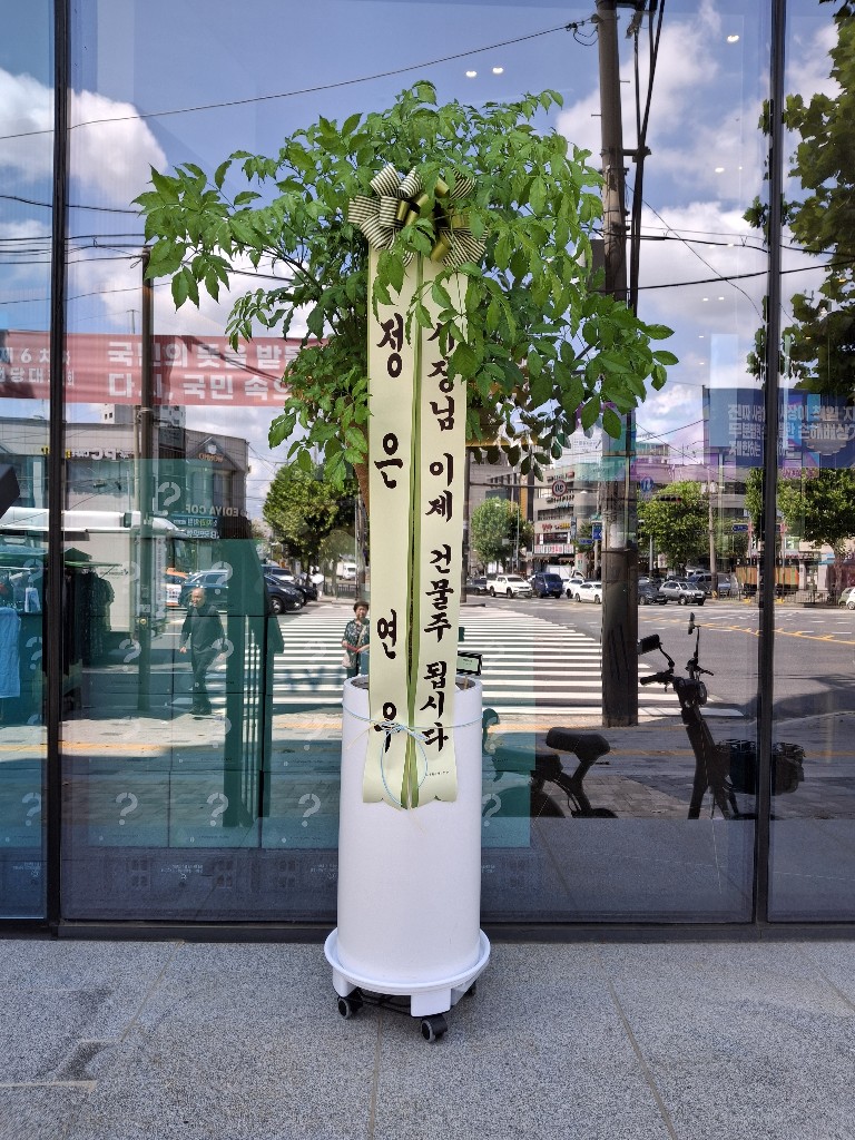 업로드 이미지