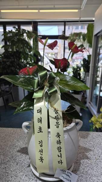 배송사진