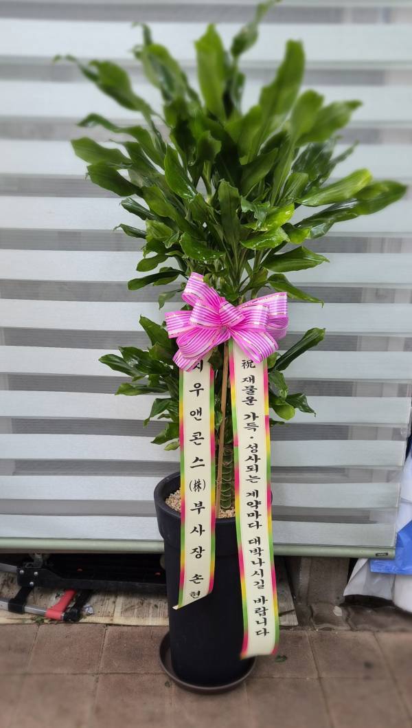 배송사진