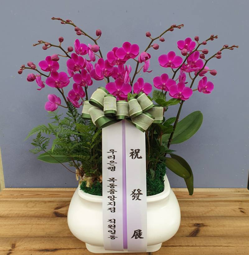 업로드 이미지