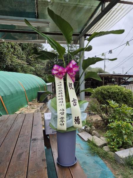 배송사진