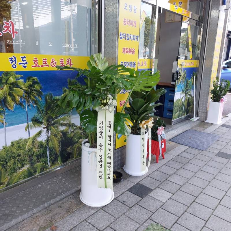 업로드 이미지
