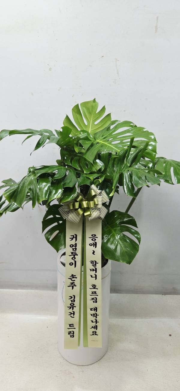 배송사진