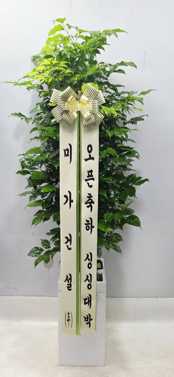 업로드 이미지