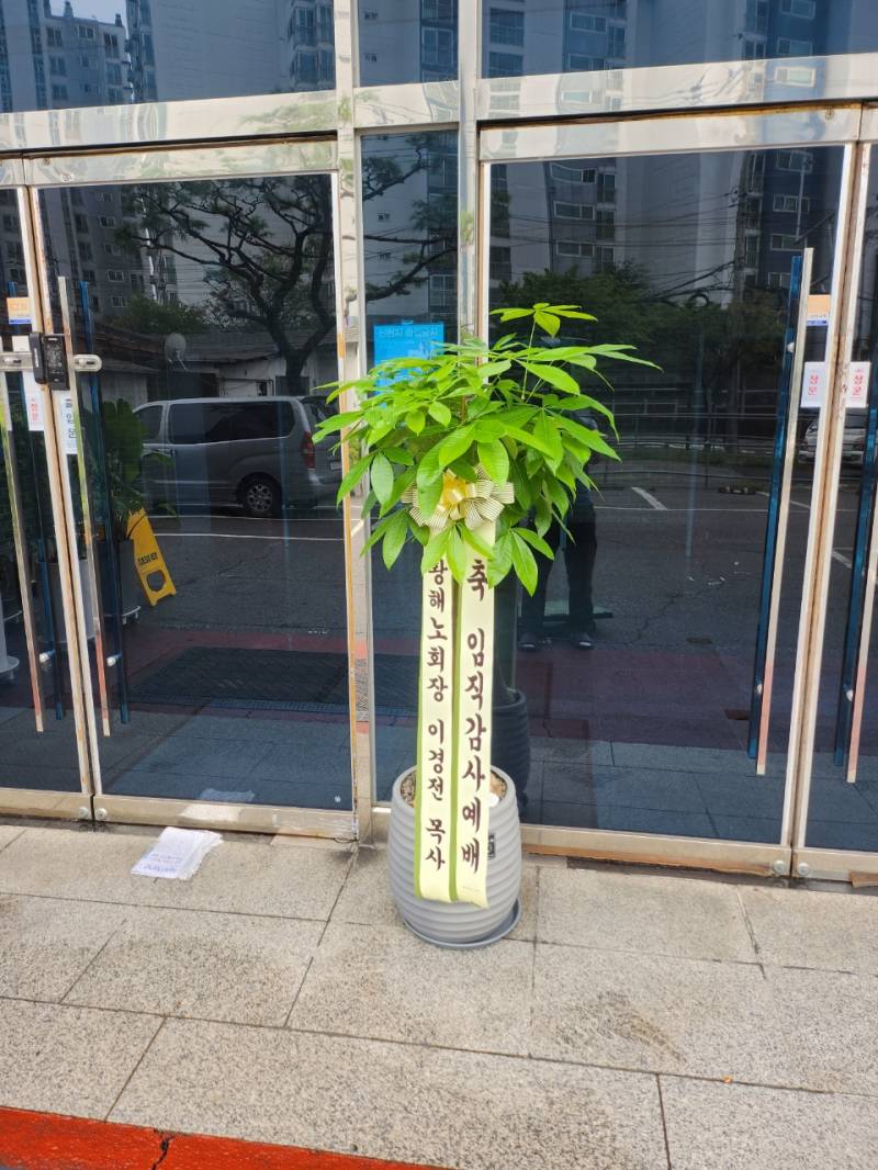 업로드 이미지